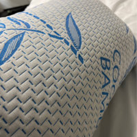 Katherine Rayon from Bamboo Shredded Memory Foam Plush Support Pillow