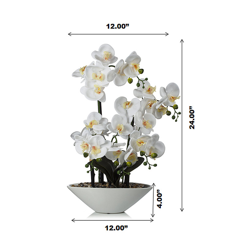 Natural Fibres Orchids Arrangement in Pot