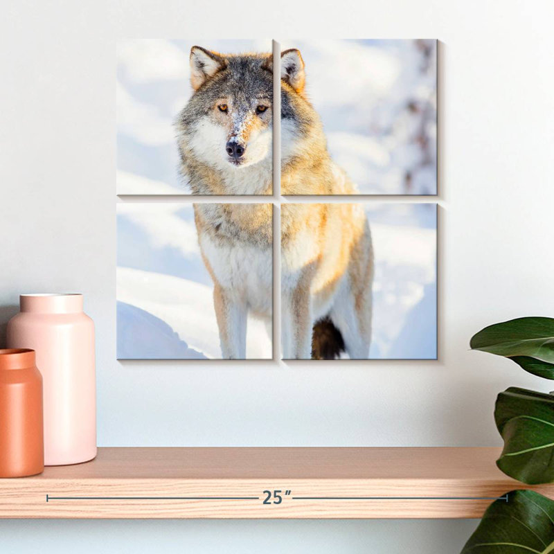 Loup gris d'hiver, H 18 po x l 18 po
