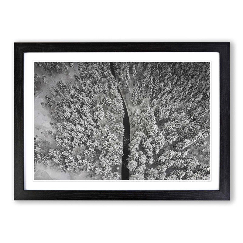 In a Winter Forest - Picture Frame Graphic Art Print, 60cm H x 91cm W x 2cm D, Black