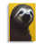 Unframed is unavailable