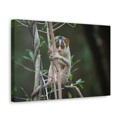 No Frame Print on Canvas