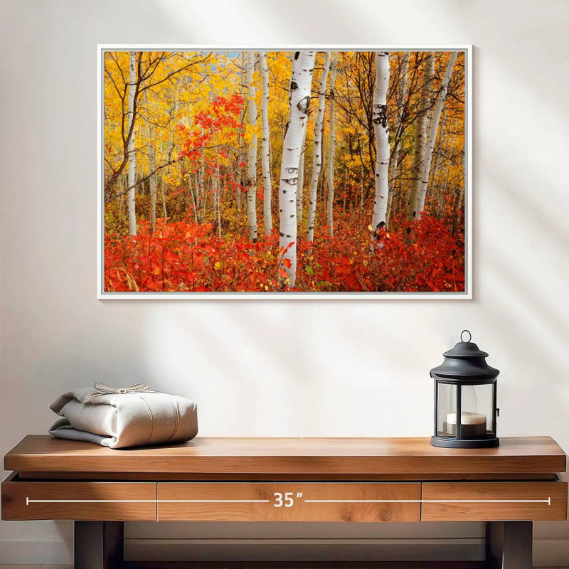 Bouleaux d'automne, Cadre flottant blanc, 25 po x 17 po