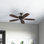 Ventilateur de plafond standard à 5 pales de 52 po avec chaîne de traction Jacobi