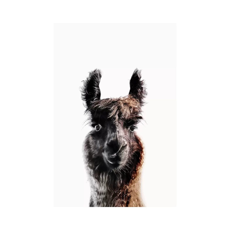 Lama George by Monika Strigel - Wrapped Canvas Print, 20.32 cm H x 30.48 cm W