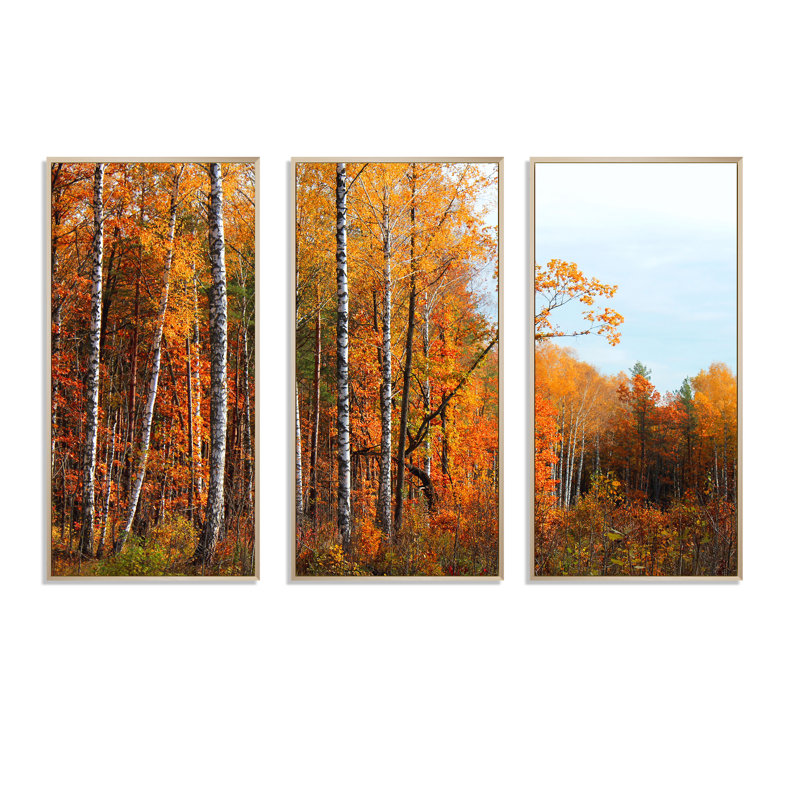 Oange Trees in Fall - 3 pièces, reproduction encadrée sur toile, H 28 po x l 36 po x P 1 po, Cadre brun