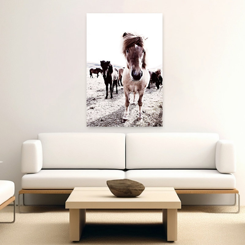 Islande, cheval, Rikka, art contemporain cheval