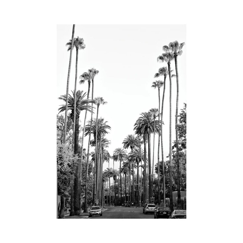 Black California Series - Los Angeles Palm Trees - Wrapped Canvas Print, 20.32 cm H x 30.48 cm W