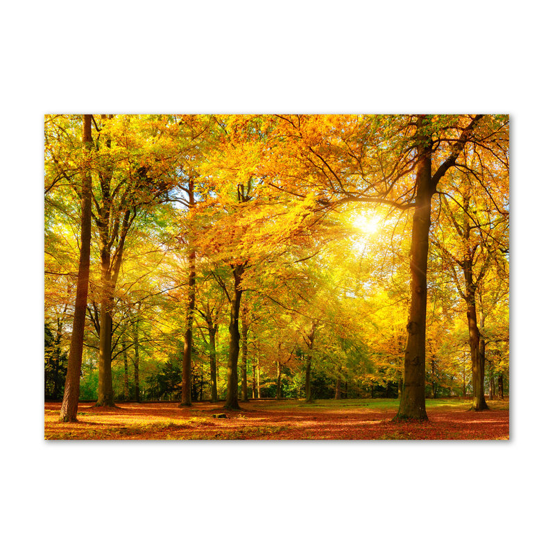 Autumn Forest - Wrapped Canvas Print