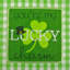 Ensemble de chiffons brodé 3 pièces st. patty Poche