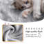 Tour pour chat 40 "Alek-953521330