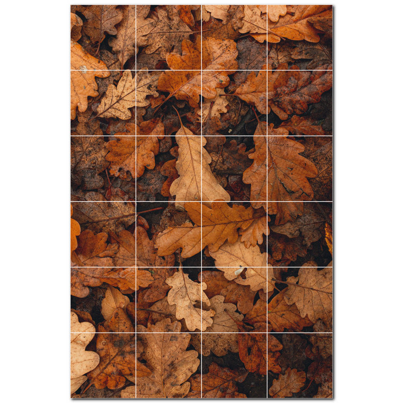 Photo d'automne 4,25 x 4,25