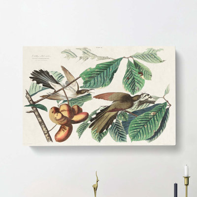 Yellow-billed Cuckoo Birds by John Audubon - Wrapped Canvas