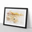 Birds on the Beach - Framed Print-56734049-56734052