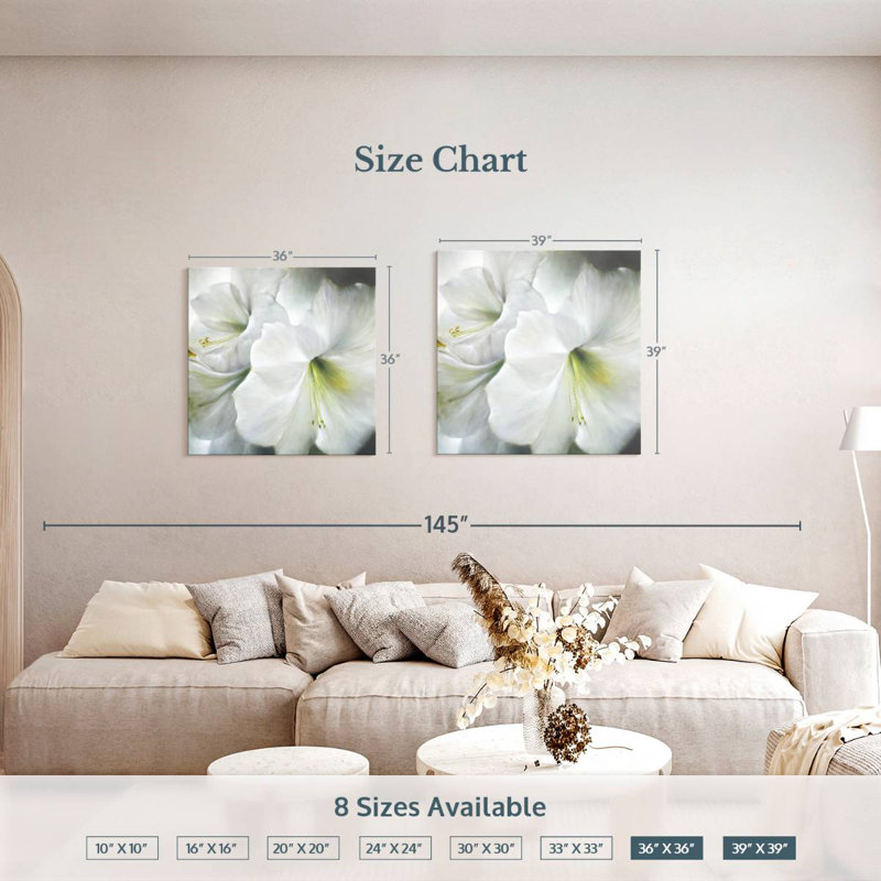 Harnek White Amaryllis II