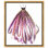 Mauve - peinture