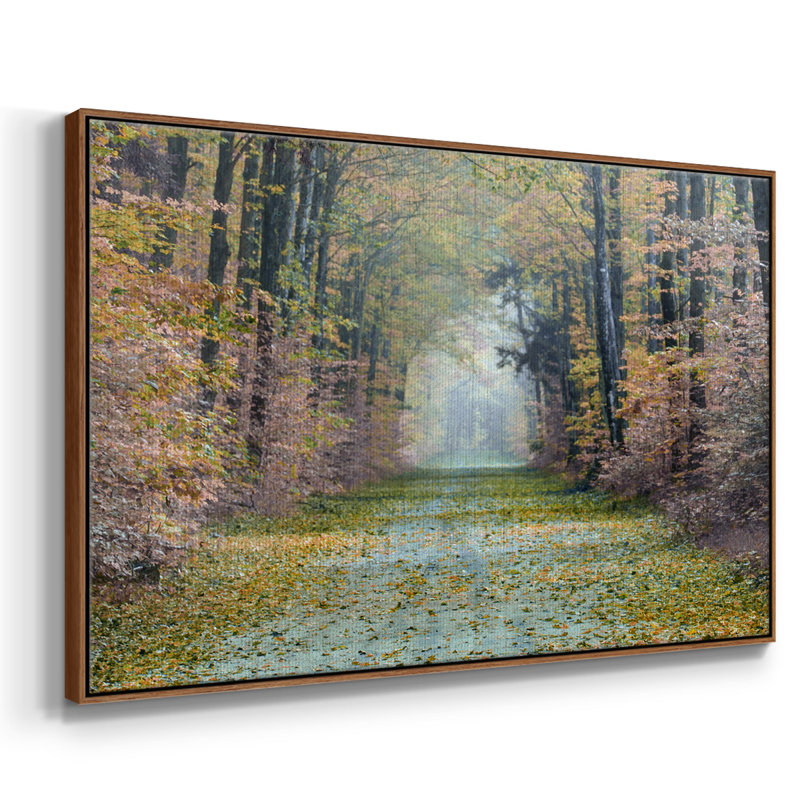 Enchanted Path, reproduction d'art sur toile, H 17 po x l 25 po x P 2 po, Noir