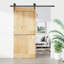 Porte coulissante avec quincaillerie Vidaxl-112703915-112703914