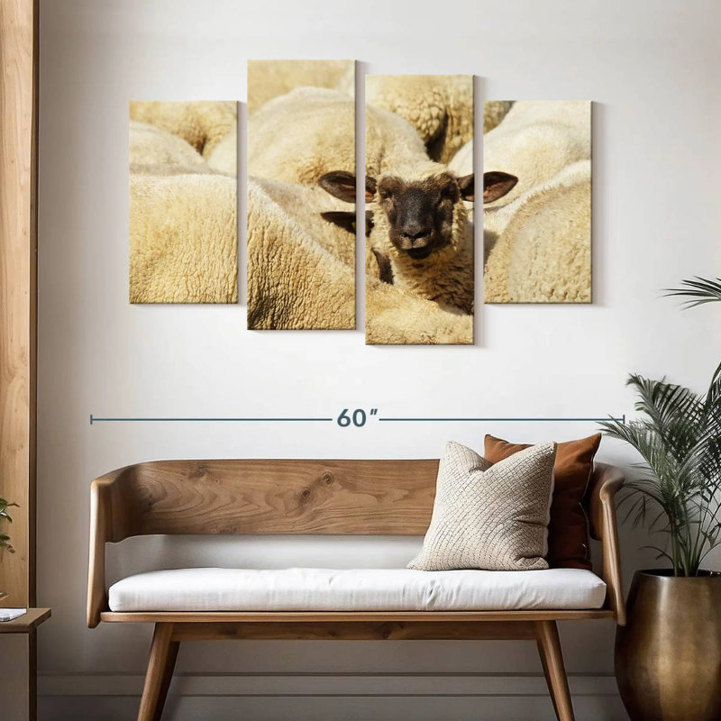 Mouton Brampt, H 32 po x l 52 po