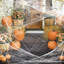 Toile d'araignée durable d'Halloween parties de décorations d'extérieur, araignée de décoration festive réaliste 200 cm-986908897