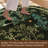 Floral Rug Botanical Birds Print Nature Plants Washable Non-slip-336992027-336992028