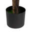 170cm Plant