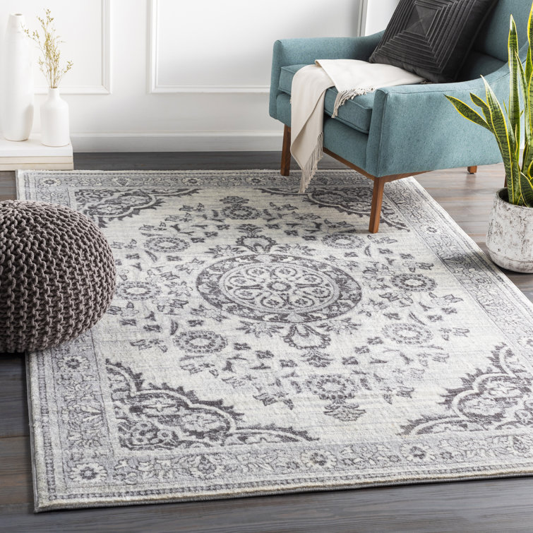 Akash Oriental Indoor Rug