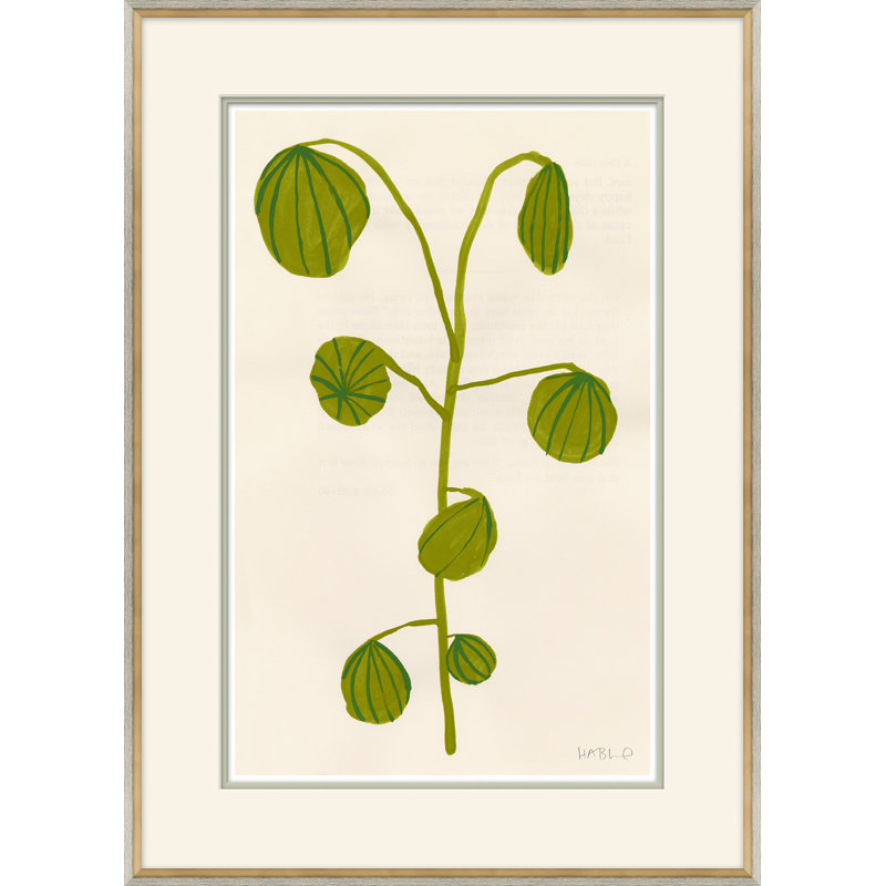 Fruity I Giclee Print by Susan Hable