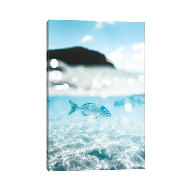 Underwater Fish 50/50 Half Split Shot 1 Piece Wrapped Canvas Wall Art, 66.04cm H x 45.72cm W