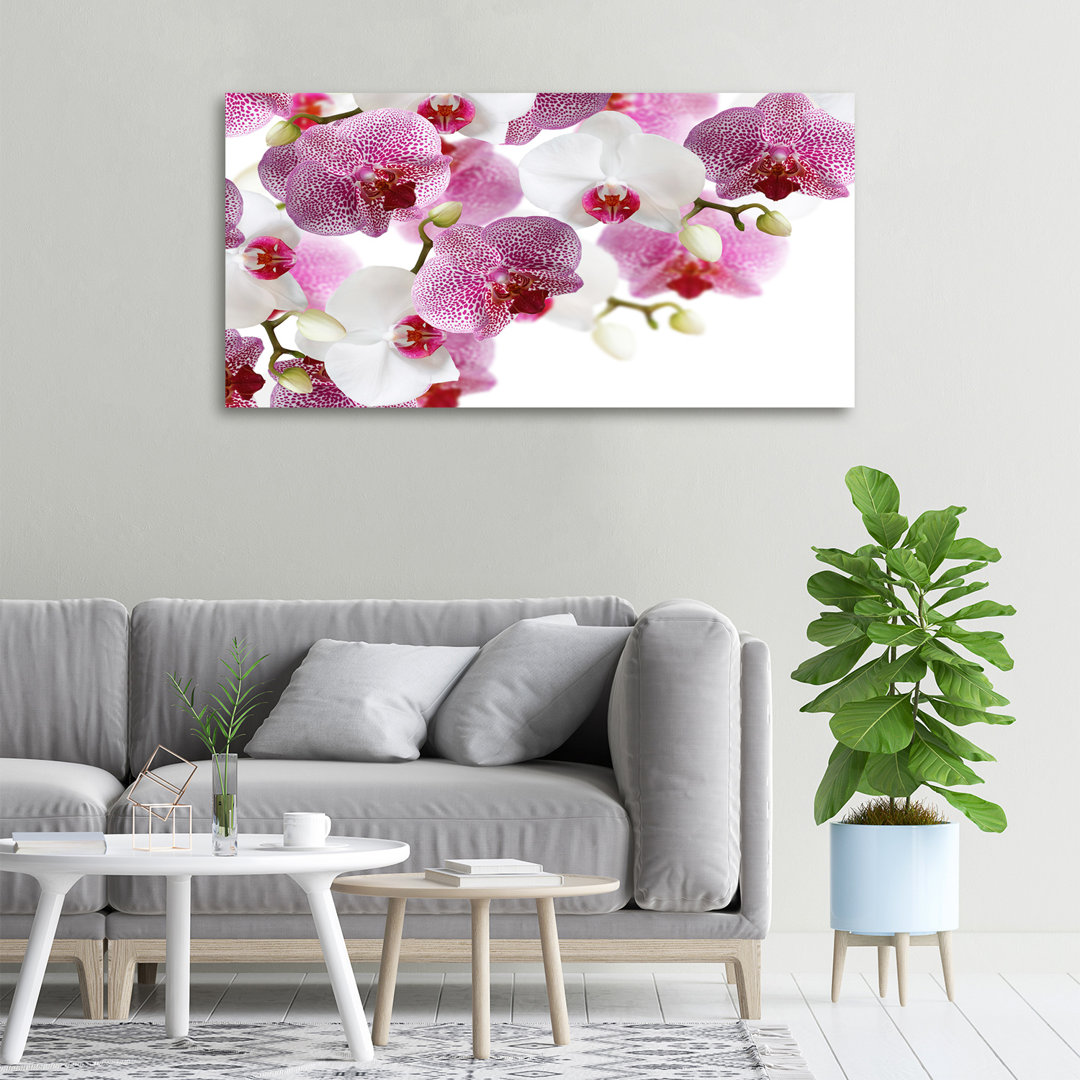 Orchidee - Kunstdrucke auf Leinwand - Wrapped Canvas