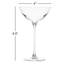 Set of 2 Savage Crystal Coupe Glasses