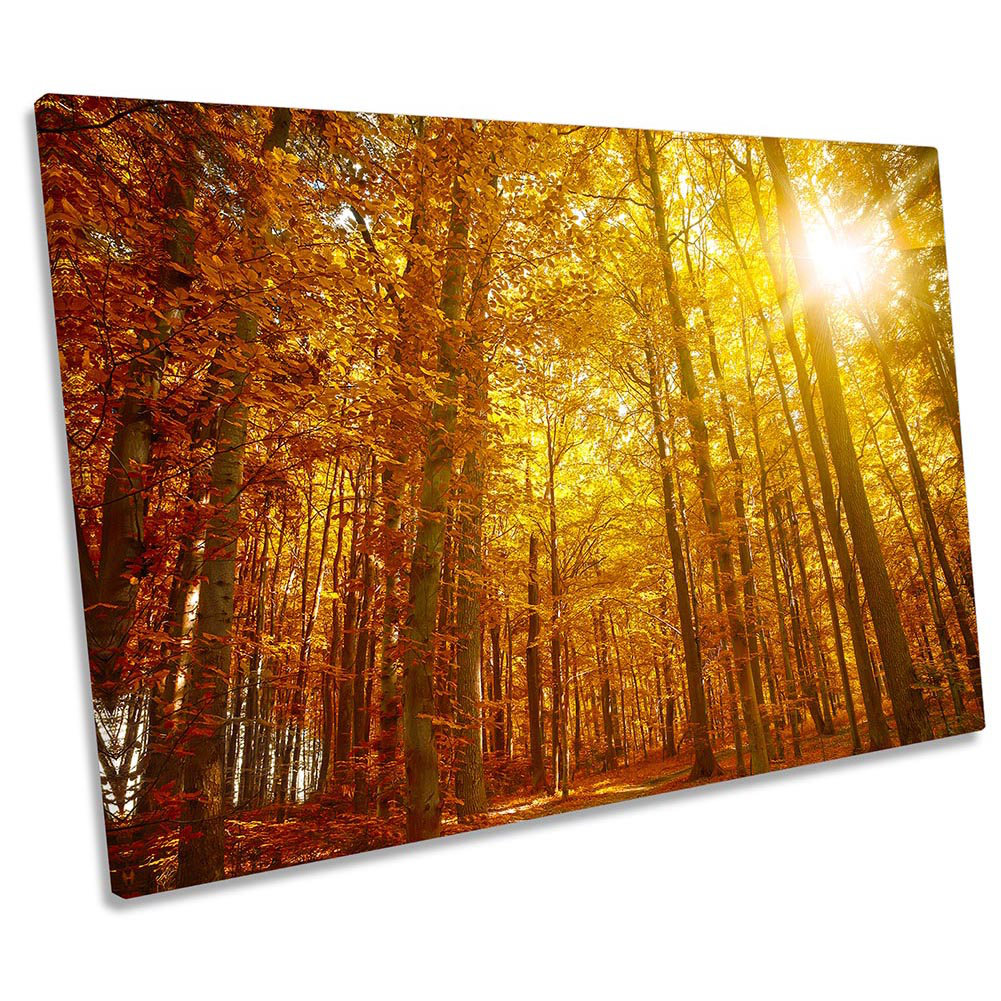 Forest Sunset Sunlight Trees - Wrapped Canvas Print