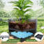 Planter