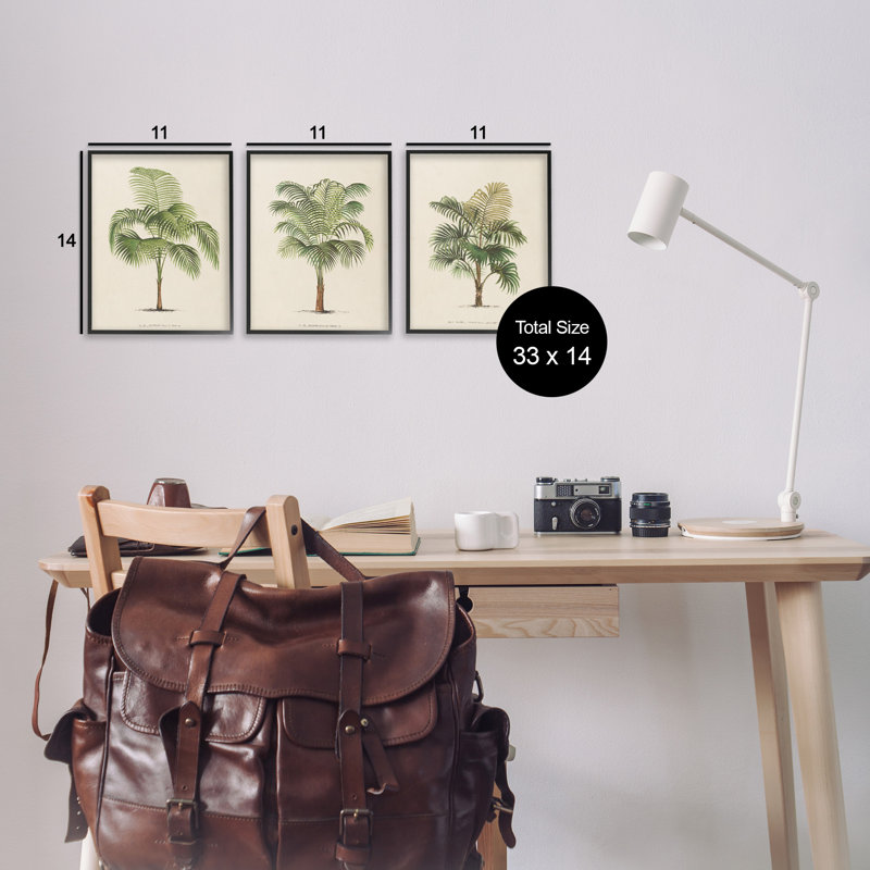 Les Palmiers Botanical Trio Black Framed Canvas Art Set