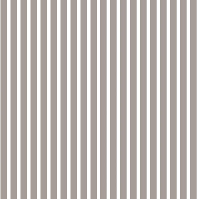 Ayden 10m x 53cm Matte Wallpaper Roll