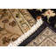 Dharma Oriental Area Rug