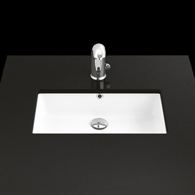 21.9'' L Bathroom Sink