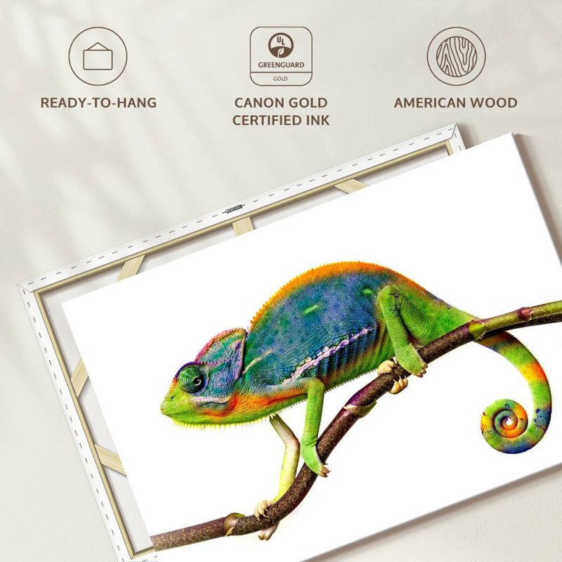 Still Chameleon, 34" H x 51" W