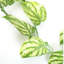 Hanging Plants 180cm Faux Ivy Plant