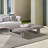 Cecy Rectangular Eucalyptus Outdoor Coffee Table