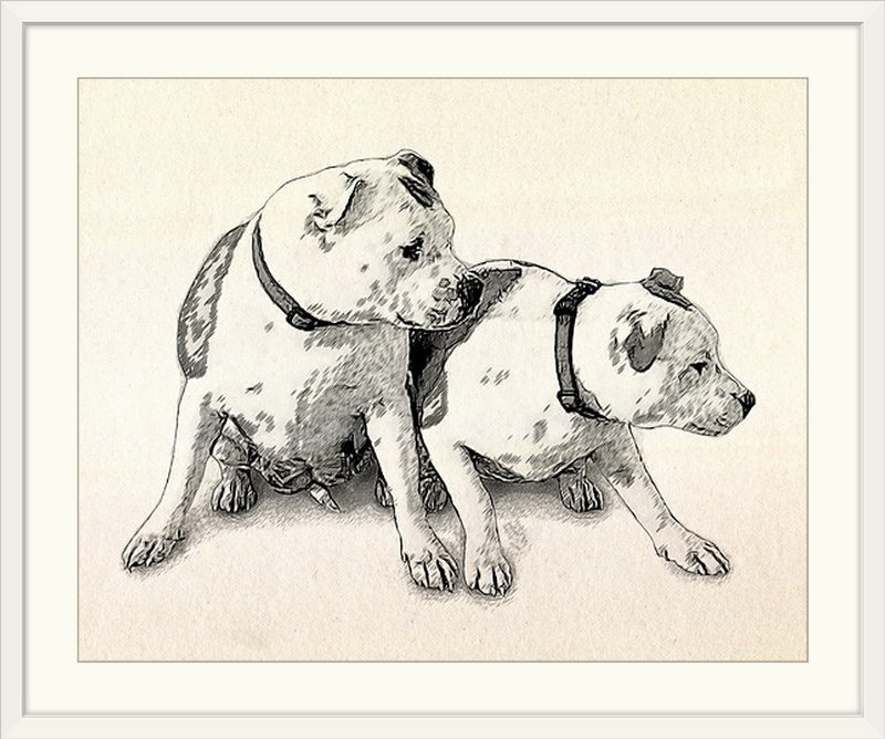 «Two Bull Terriers» par Aniesha, impression, H 20 po x l 23 po x P 1 po, Cadre blanc