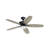 52'' Ceiling Fan with LED Lights-894715740