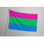 Drapeau de la fierté polysexuelle - drapeau extérieur-401491209