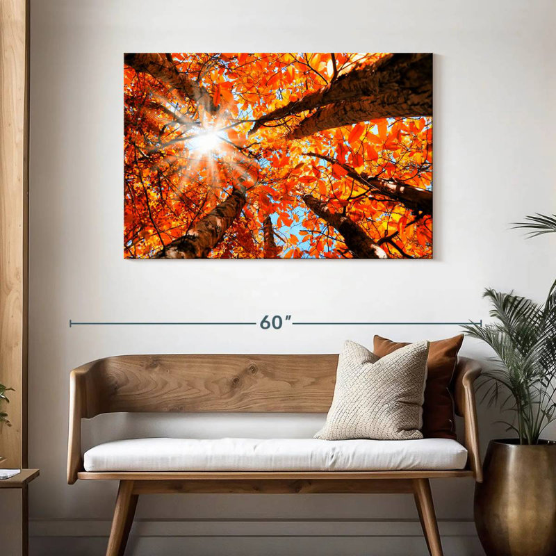 Alvord Sequoia Forest Fall