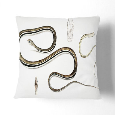 Square Throw Cushion