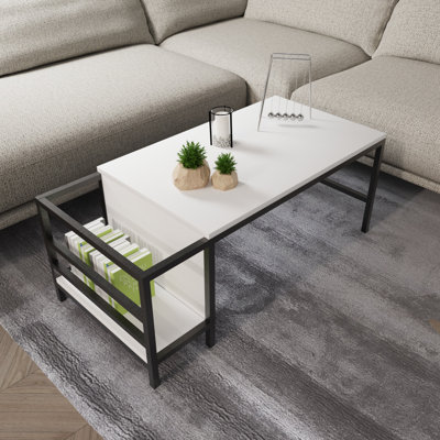 Aliona Coffee Table with Storage