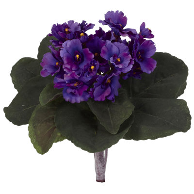 African Violet Arrangement