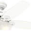Ventilateur de plafond standard à 5 pales 42 po avec chaîne de traction et ensemble d'éclairage inclus Builder-56397229