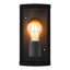Outdoor Sconce