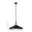 Palmetto 1 - Light Pendant-1368644733-1368121503